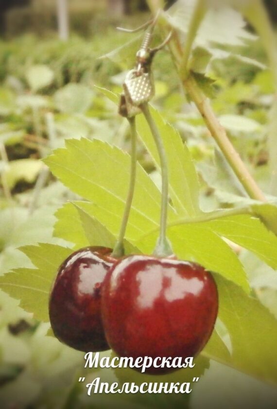 Серьги Черешни