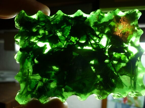 с листочками мелиссы