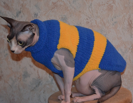 Свитер для животных