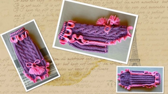 Одежда для собак