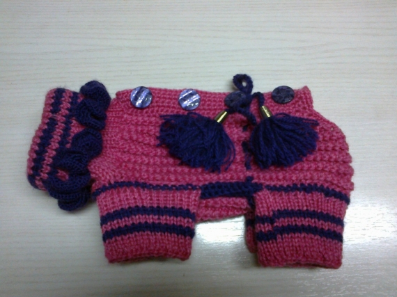 Одежда для собак