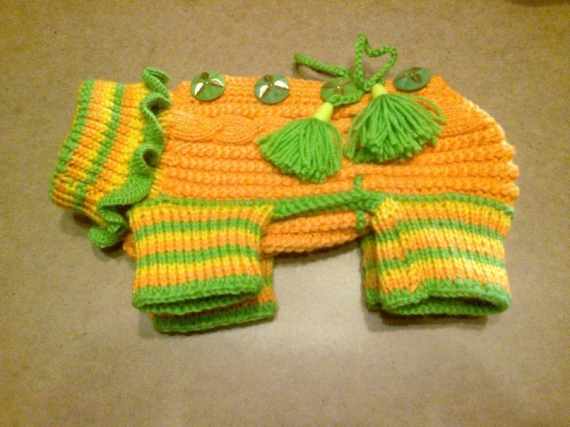 Одежда для собак