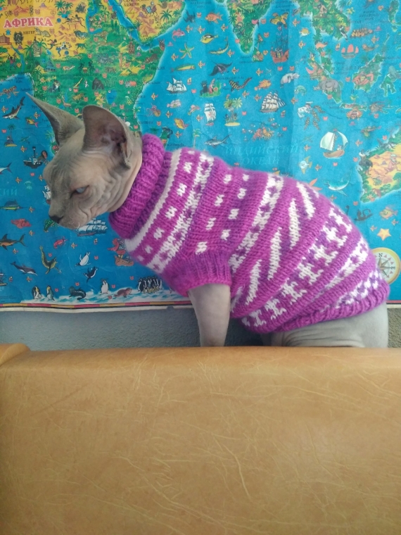 Жилет для кошки (собаки)