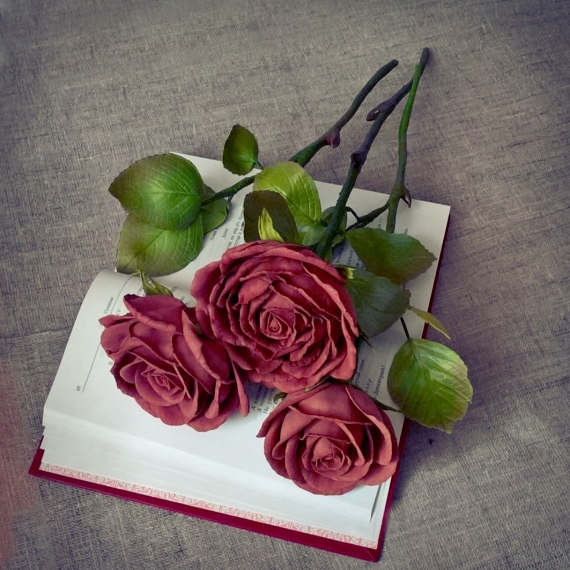 Роза на стебле