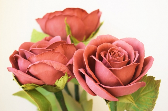 Роза на стебле