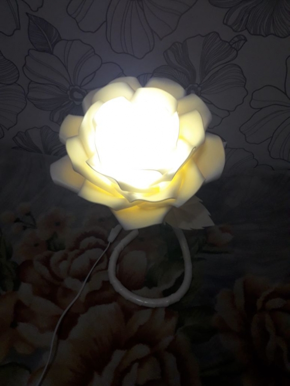 Настольный светильник