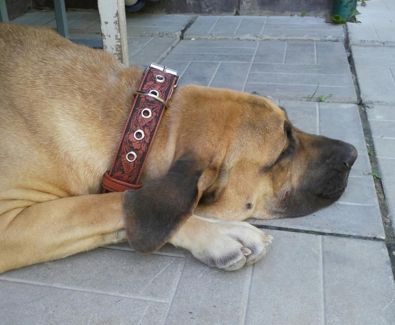 Ошейник ручной работы