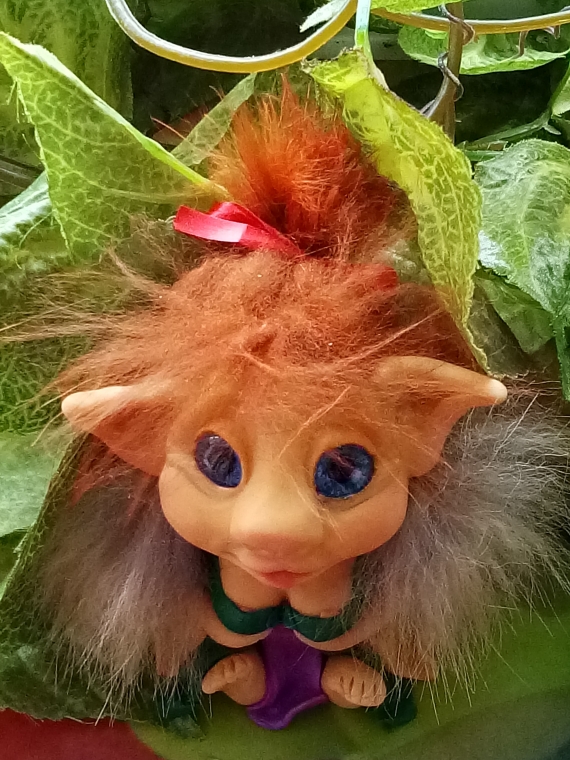 дама гномик