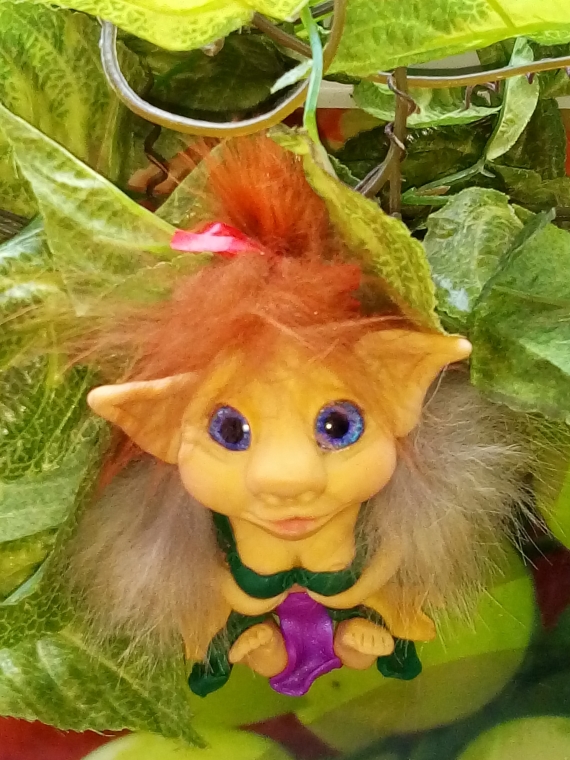 дама гномик