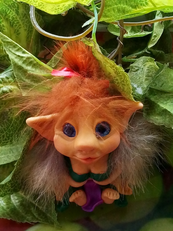 дама гномик