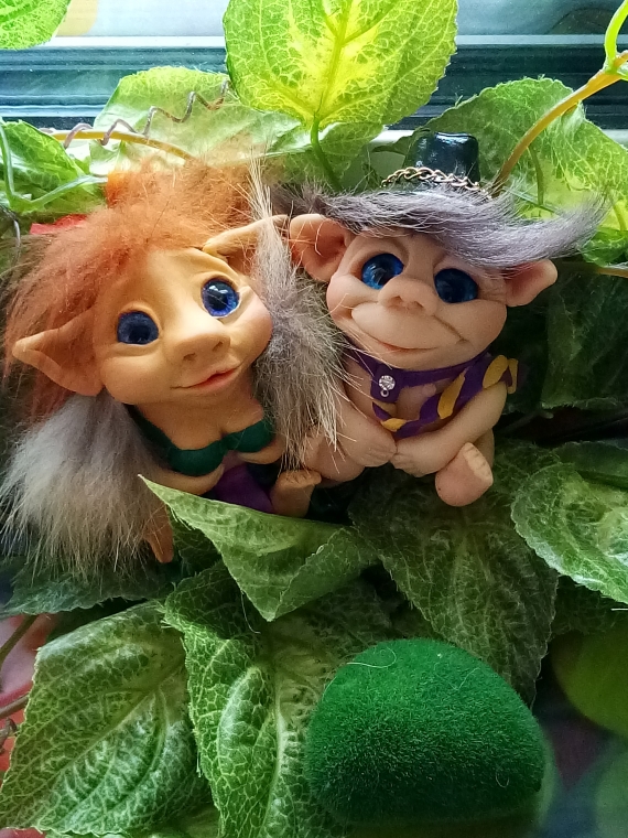 дама гномик