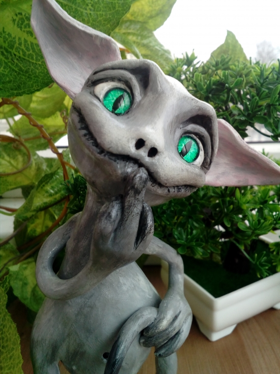 Скромный кот