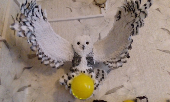 Ночник Полярная сова