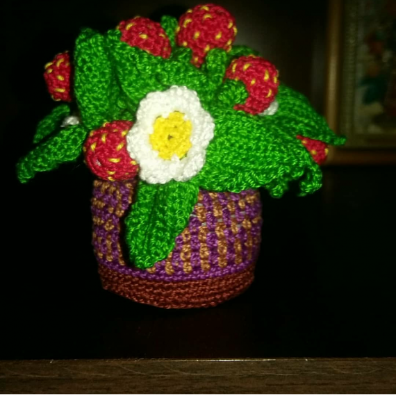 Земляника домашняя