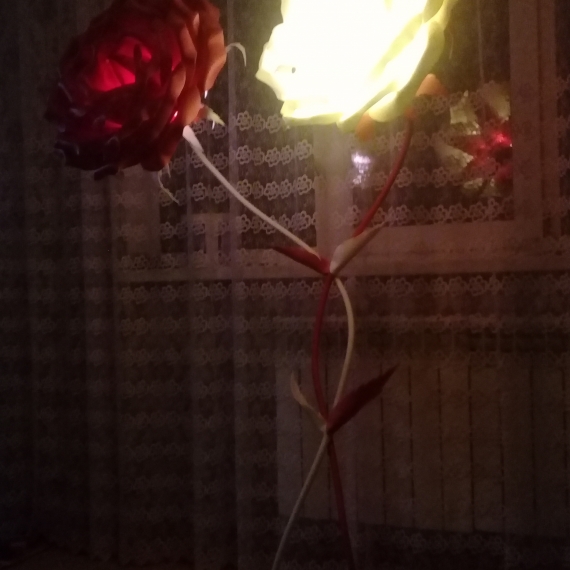 Ростовые цветы от Ольги.