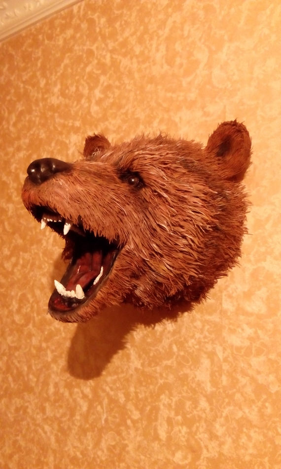 Охотничий трофей " Ревущий медведь"