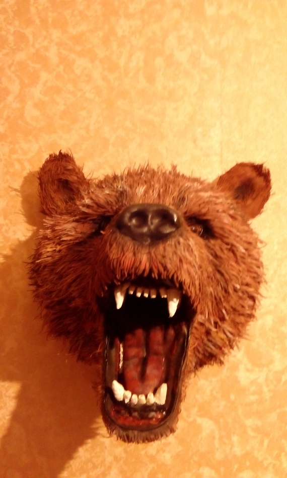 Охотничий трофей " Ревущий медведь"