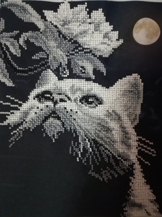 Кот с магнолией