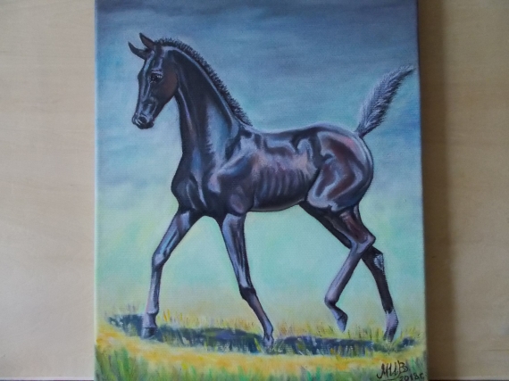 Игривыи жеребёнок.