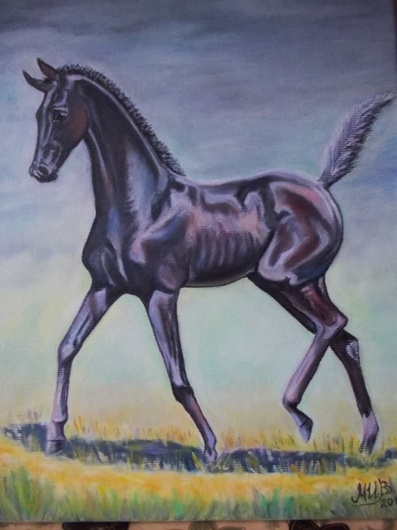 Игривыи жеребёнок.