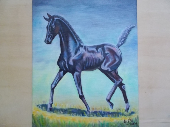 Игривыи жеребёнок.