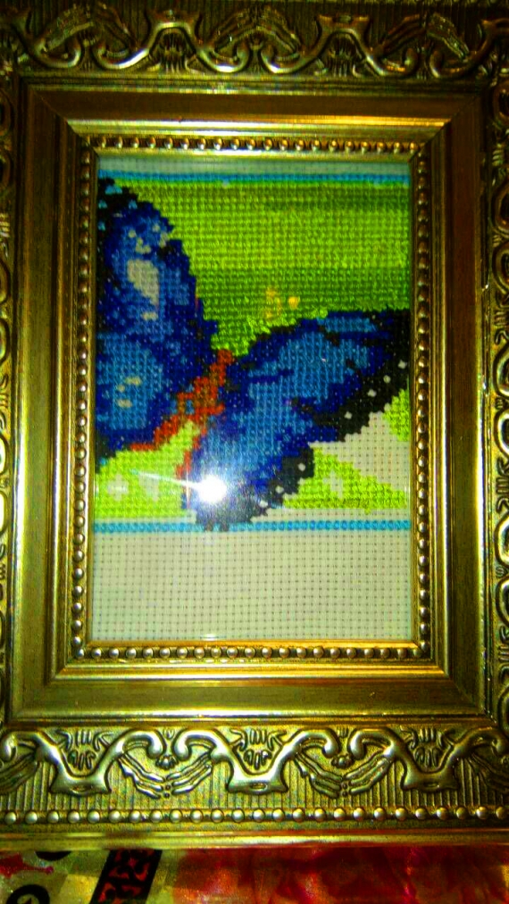 Синяя бабочка