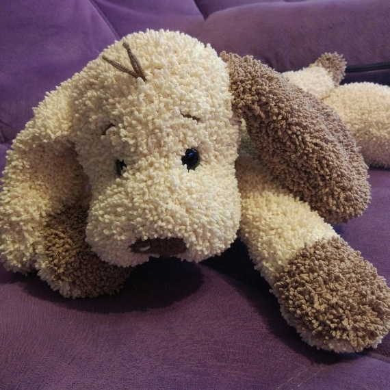 Щенок очаровашка