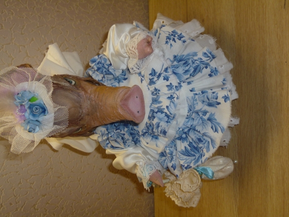 кабаниха Душечка