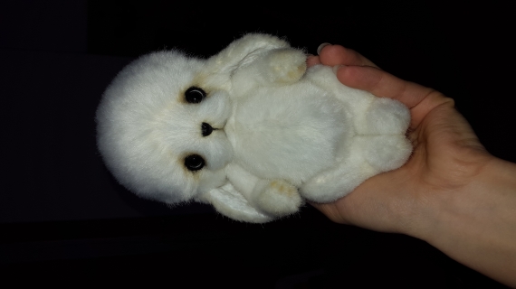 Зайчонок Каспер-любитель кормить птиц