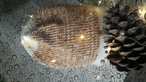 Шапка женская