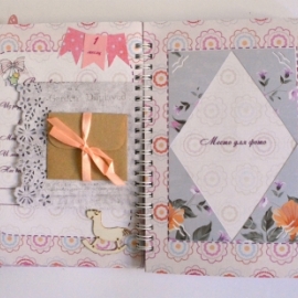 Дневник мамы "Наша маленькая принцесса"