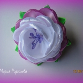 Сиреневый пион