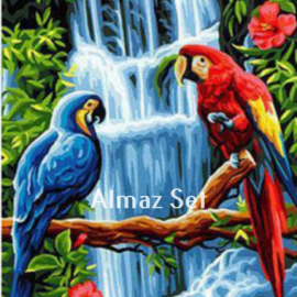 Картина стразами "Попугаи"