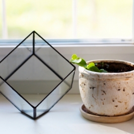 флорариум CUBE mini