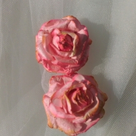 набор акварельных розочек (2 шт)