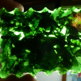 с листочками мелиссы