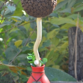 Кофейный топиарий "С любовью,Рози"