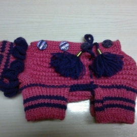 Одежда для собак