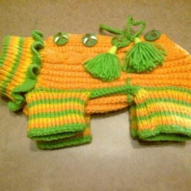 Одежда для собак