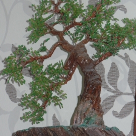 Бонсай зеленый