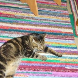 ДЕРЕВЕНСКАЯ ДОРОЖКА