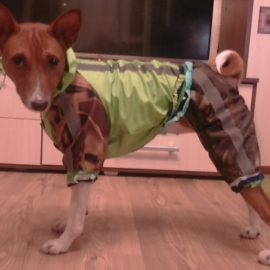 Дождевик для собак