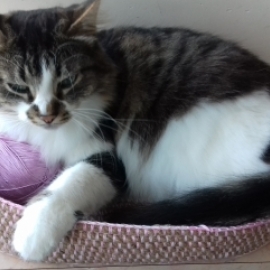 Лежак для кошки