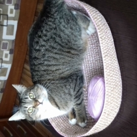 Лежак для кошки