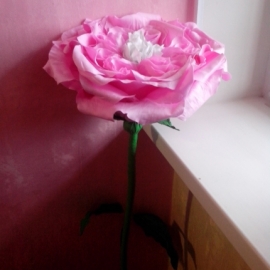 Цветок-гигант