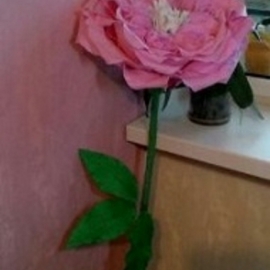 Цветок-гигант