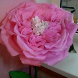 Цветок-гигант