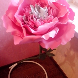 Пион. Цветок-гигант