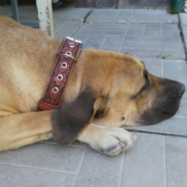 Ошейник ручной работы