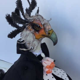 Птица Секретарь